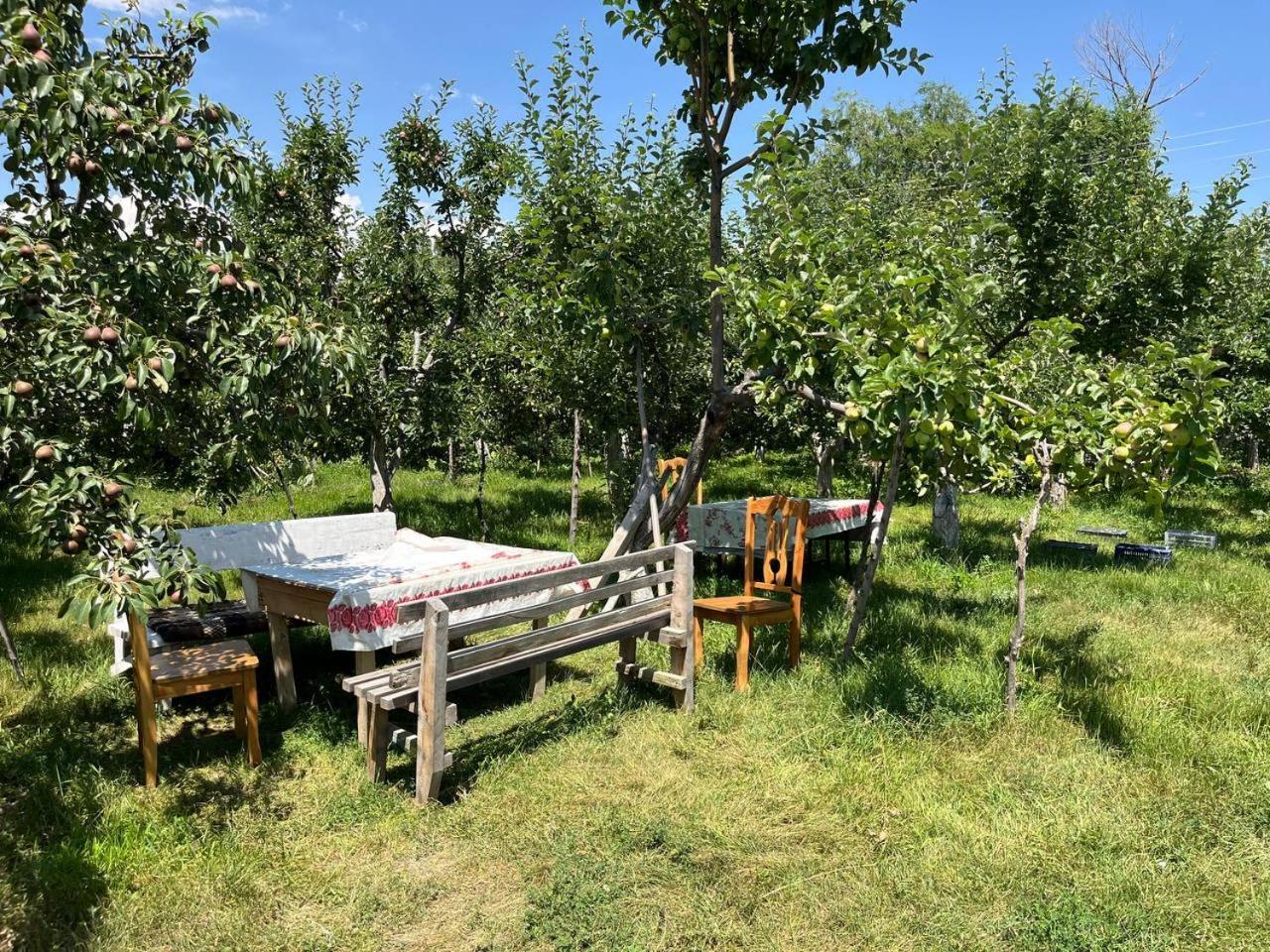 "Bilim" Guest House Tamchy Екстериор снимка