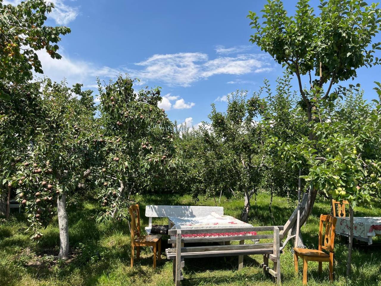 "Bilim" Guest House Tamchy Екстериор снимка