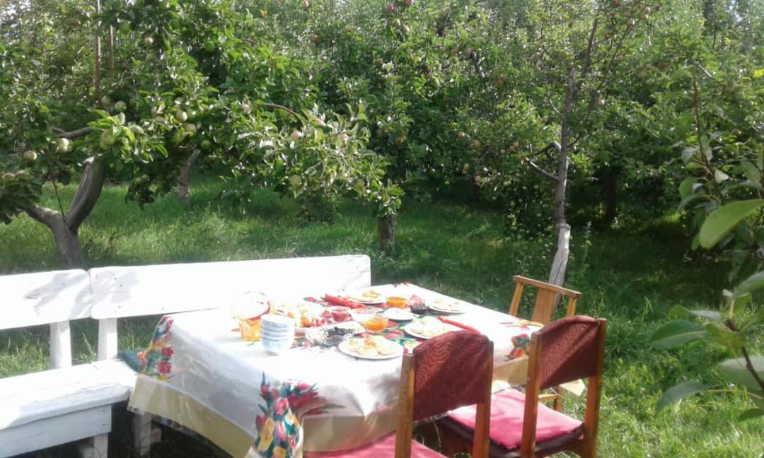 "Bilim" Guest House Tamchy Екстериор снимка