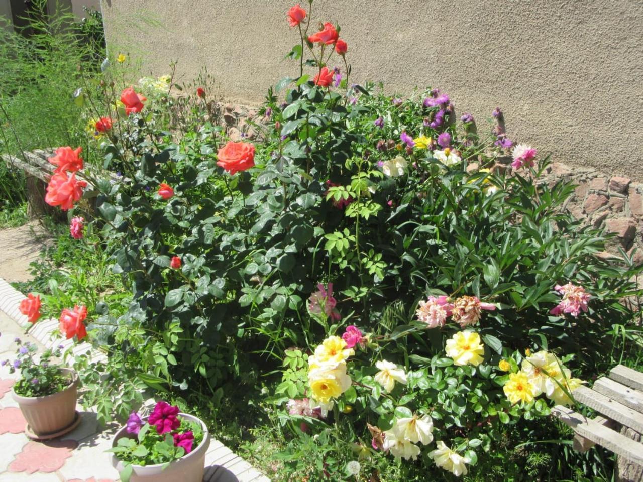 "Bilim" Guest House Tamchy Екстериор снимка